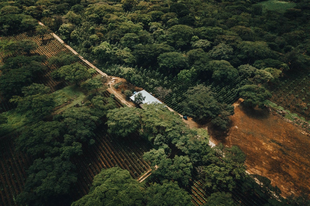 DJI_0088-Pano